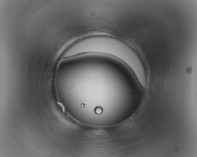 X0000112910108200909071544