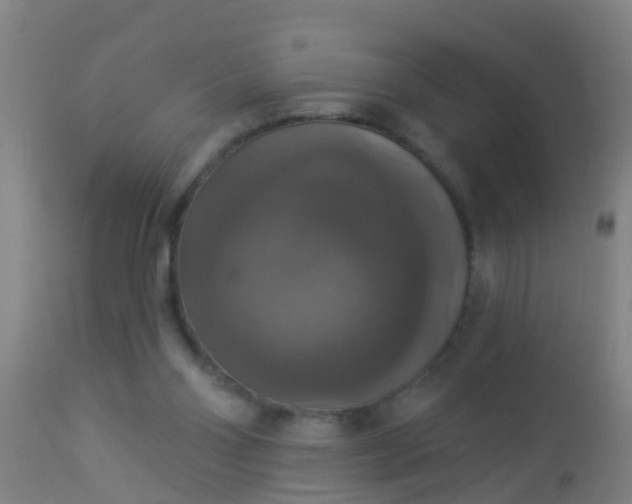 X0000112910110200909071544