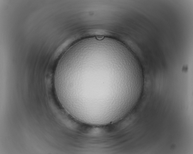 X0000112910111200909071544