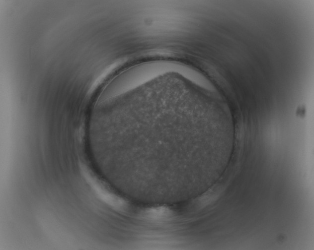 X0000112910112200909071544