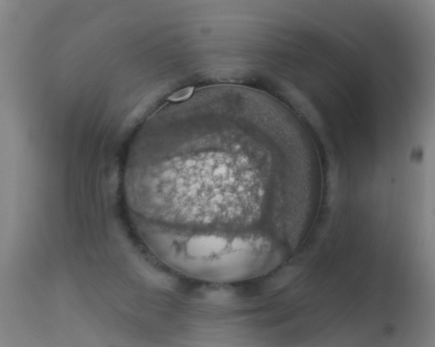 X0000112910113200909071544