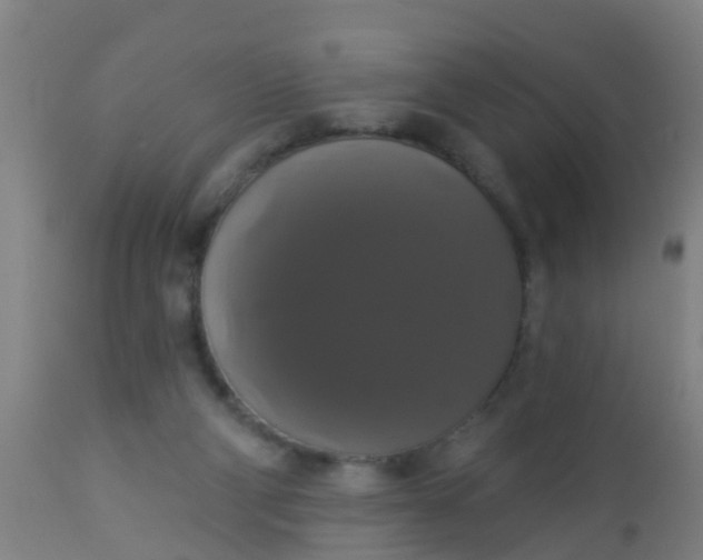 X0000112910114200909071544