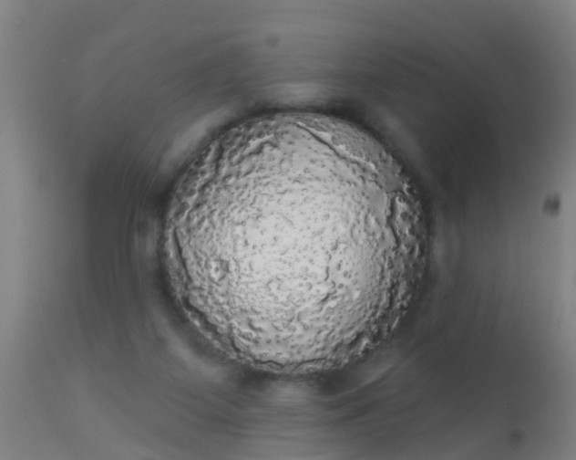 X0000112910115200909071544