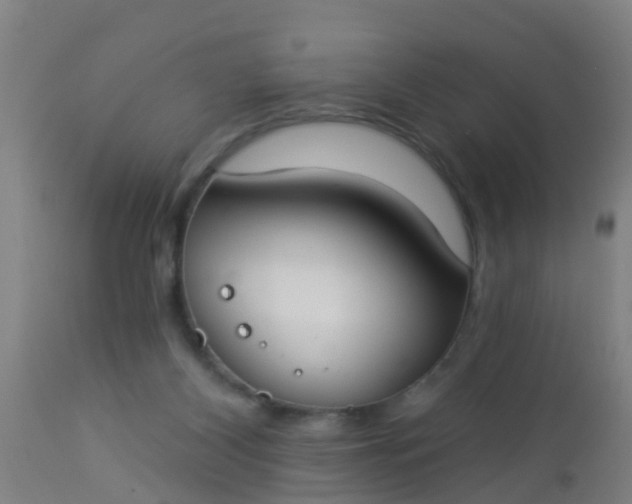 X0000112910116200909071544