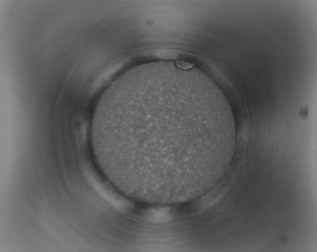 X0000112910120200909071544