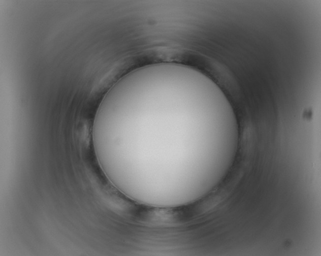 X0000112910121200909071544