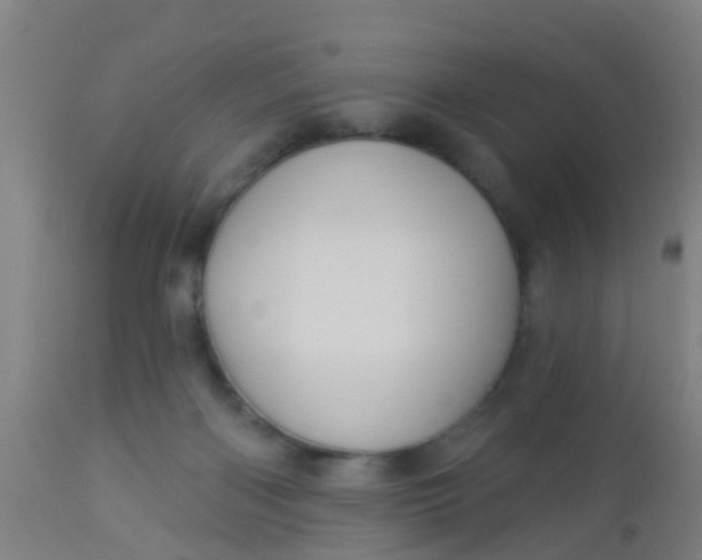 X0000112910122200909071544