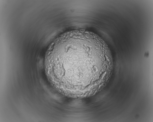 X0000112910123200909071544