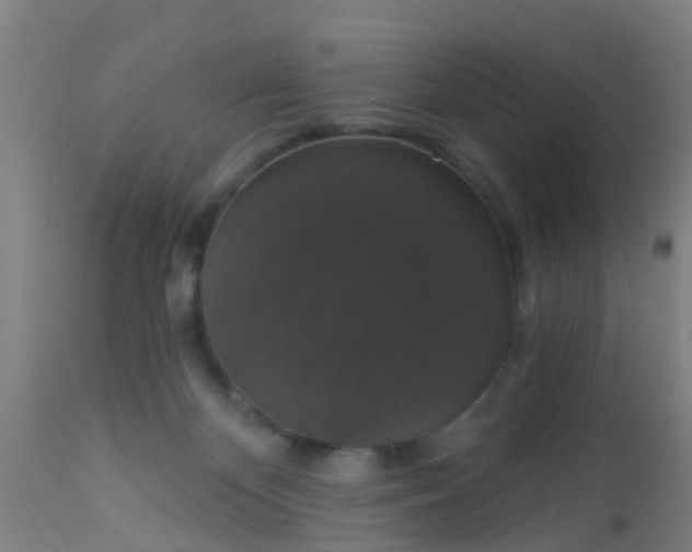 X0000112910124200909071544