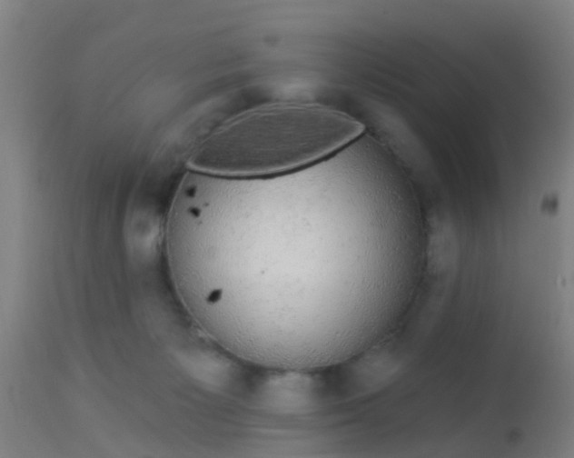 X0000112910125200909071544