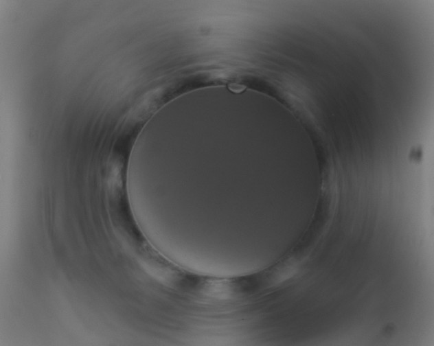 X0000112910127200909071544