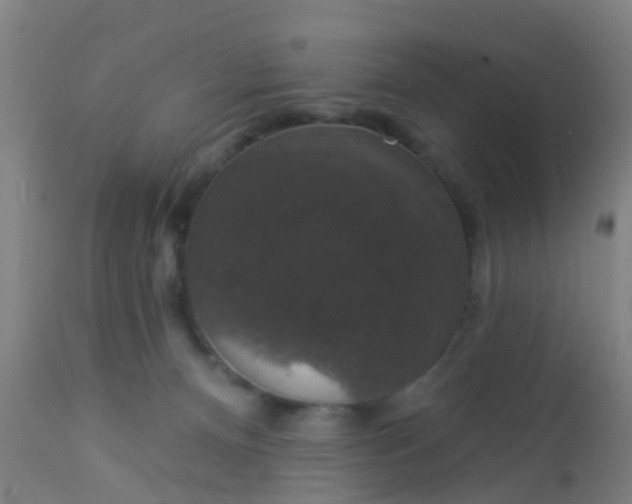 X0000112910128200909071544