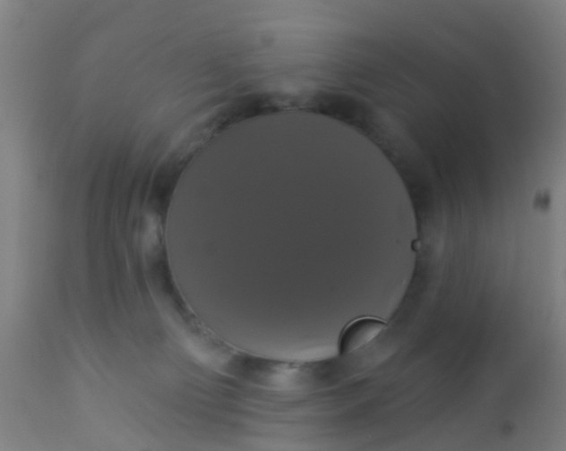 X0000112910130200909071544