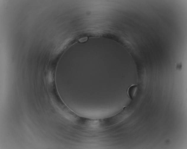 X0000112910131200909071544