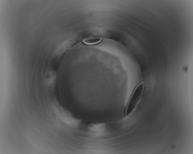 X0000112910132200909071544