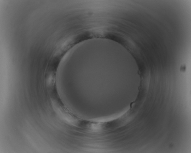 X0000112910134200909071544