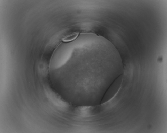 X0000112910136200909071544