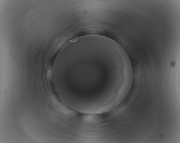 X0000112910137200909071544