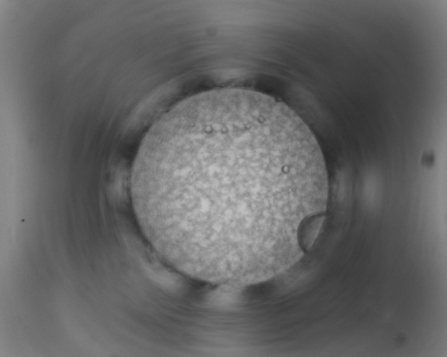 X0000112910138200909071544