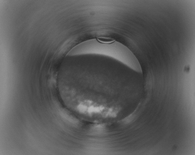 X0000112910140200909071544