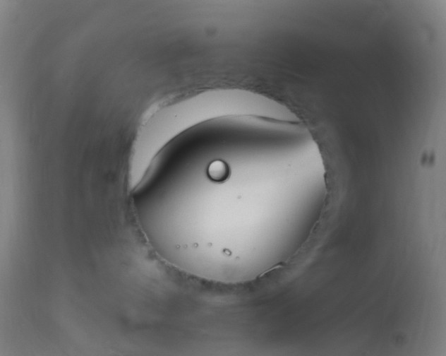 X0000112910144200909071544