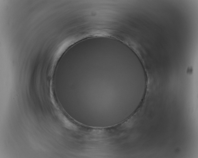 X0000112910145200909071543