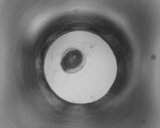 X0000112910146200909071543