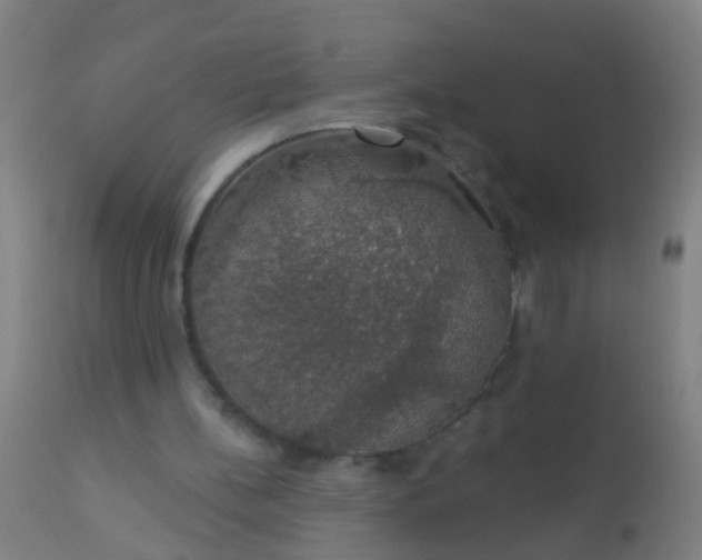 X0000112910148200909071543