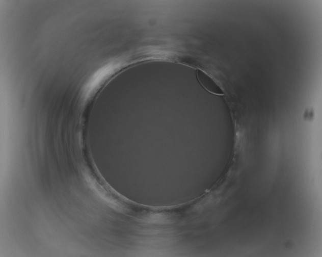 X0000112910149200909071543