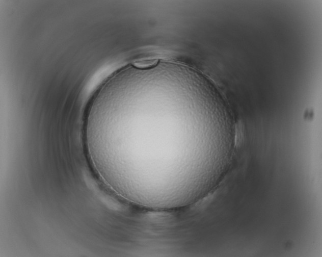 X0000112910150200909071543