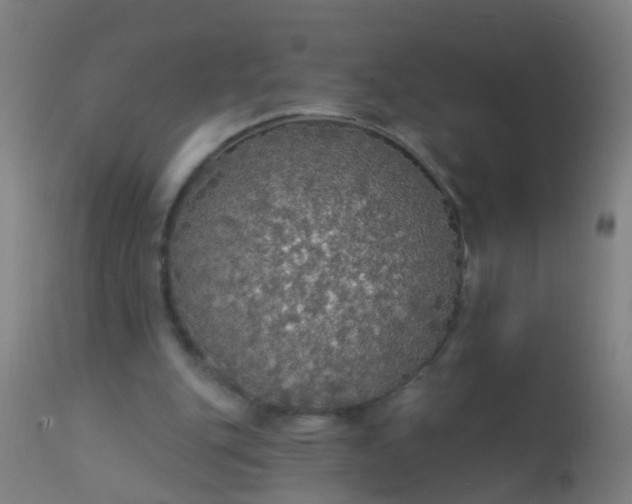 X0000112910151200909071543