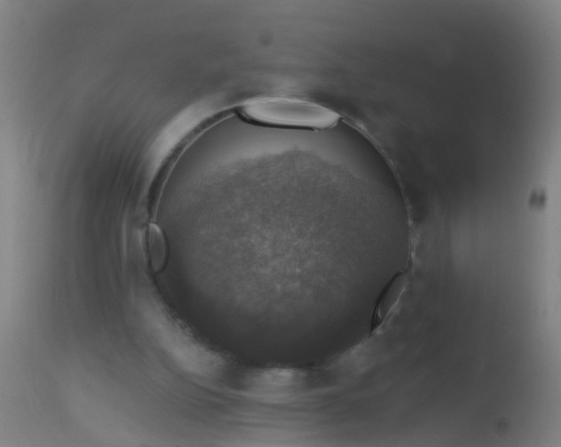 X0000112910152200909071543