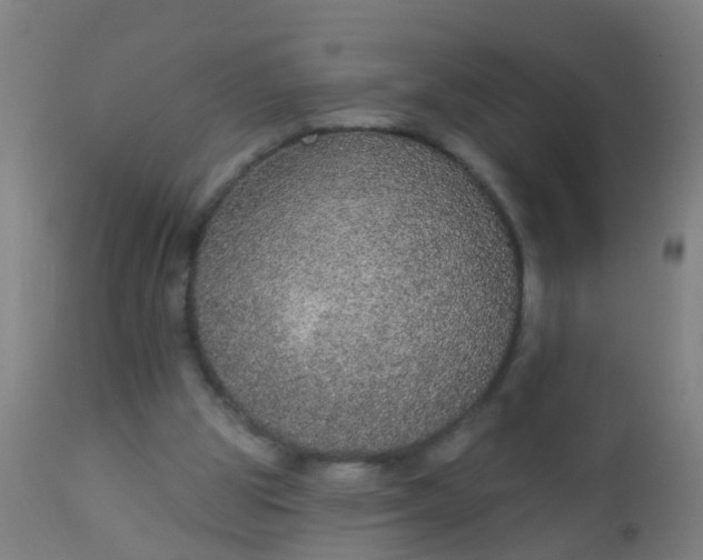 X0000112910153200909071543