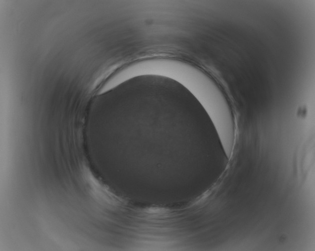 X0000112910154200909071543