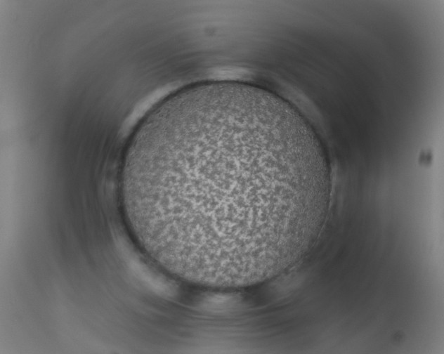 X0000112910155200909071543