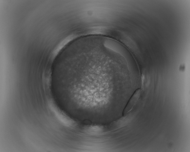 X0000112910156200909071543