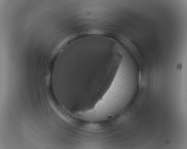 X0000112910157200909071543