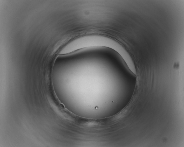 X0000112910158200909071543