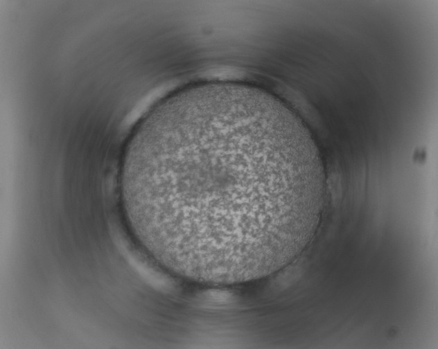 X0000112910159200909071543