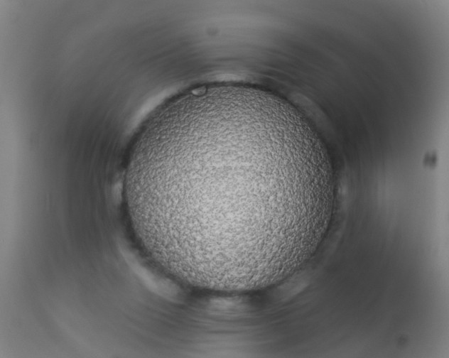 X0000112910160200909071543