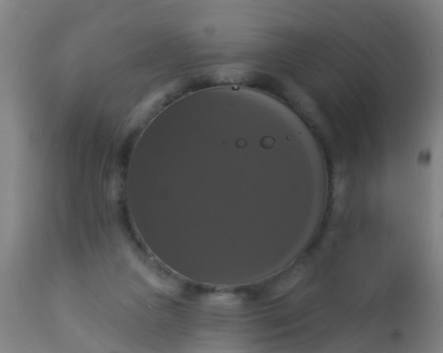 X0000112910161200909071543