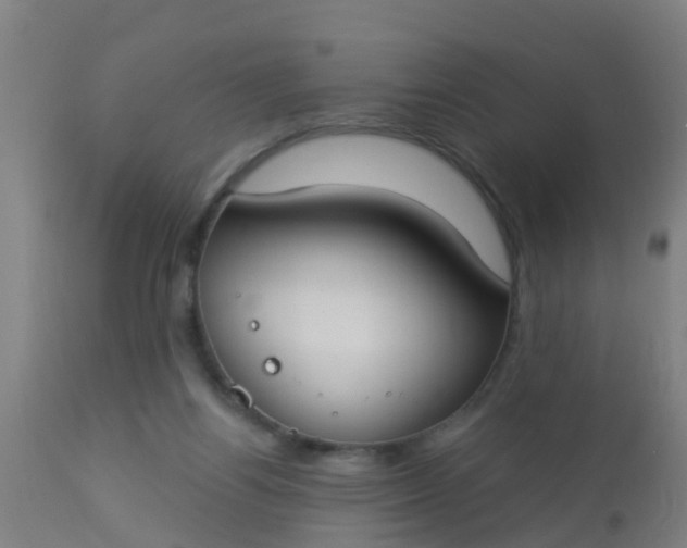 X0000112910164200909071543