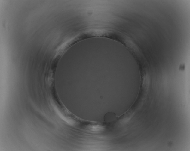 X0000112910165200909071543