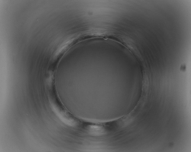 X0000112910167200909071543