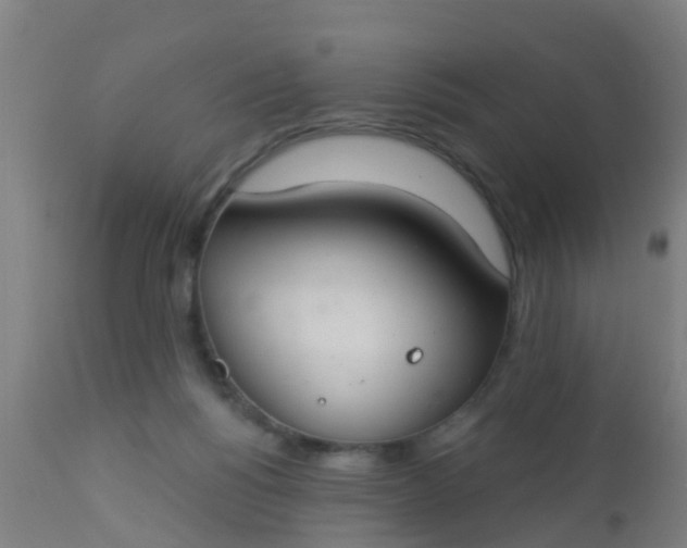 X0000112910168200909071543