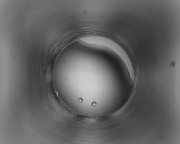 X0000112910170200909071543