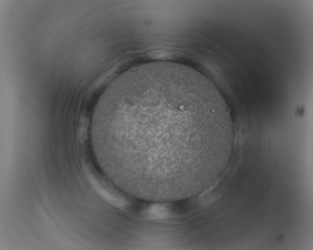 X0000112910171200909071543