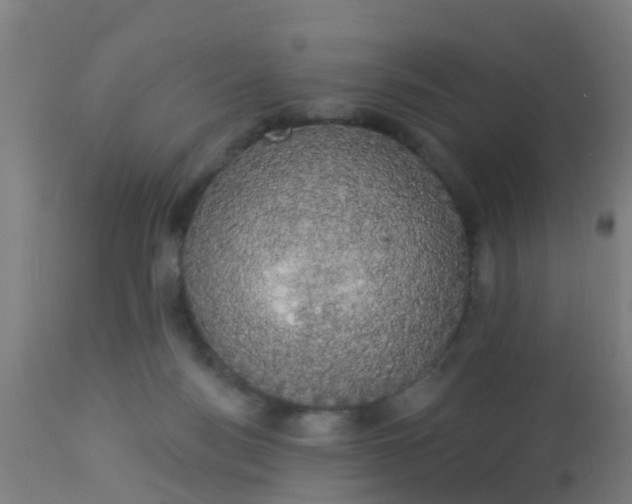 X0000112910172200909071543