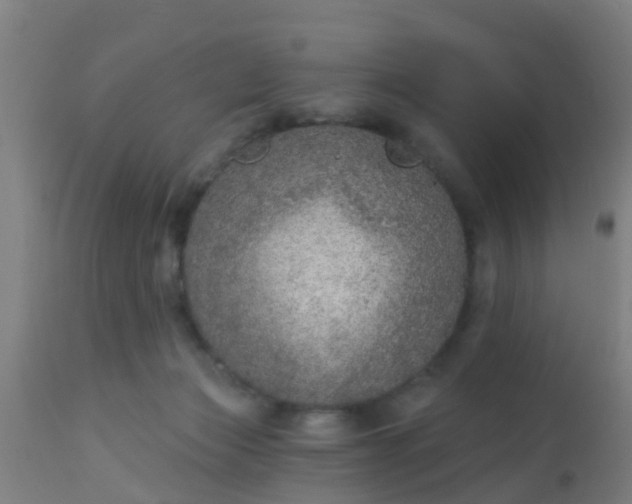 X0000112910173200909071543