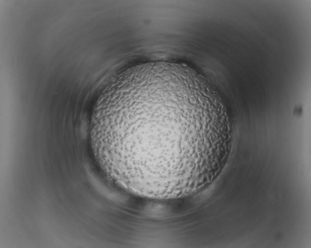 X0000112910174200909071543